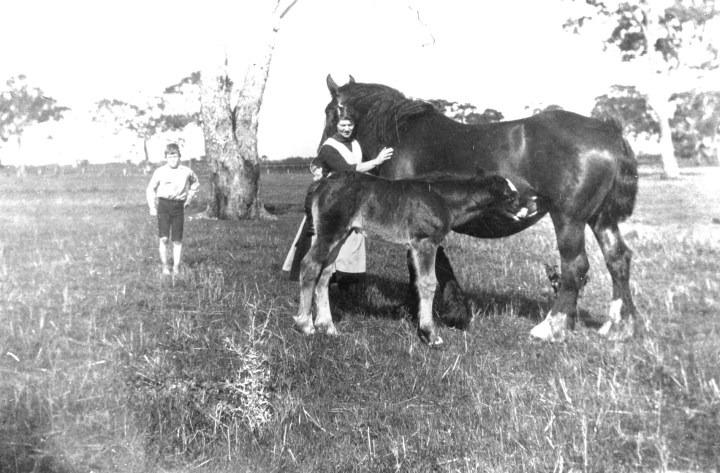 Horse scene039 low res (1)